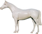 馬